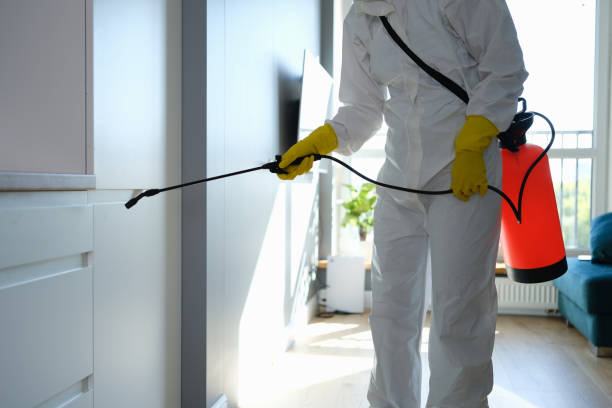 Certified Mold Removal in Purdy, MO
